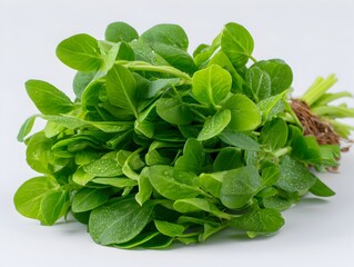 Fototapeta premium A fresh bunch of vibrant green pea sprouts sits on a clean white background ready for consumption or cooking.