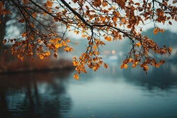 Fototapeta premium Cozy autumn vibe: branch above lake, cool air and warm leaves