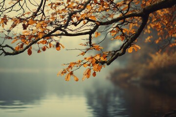 Fototapeta premium Cozy autumn vibe: branch above lake, cool air and warm leaves