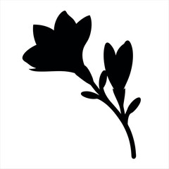 Monochrome image showcasing a delicate floral silhouette against a bright white backdrop