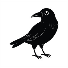 vector illustration of a crow