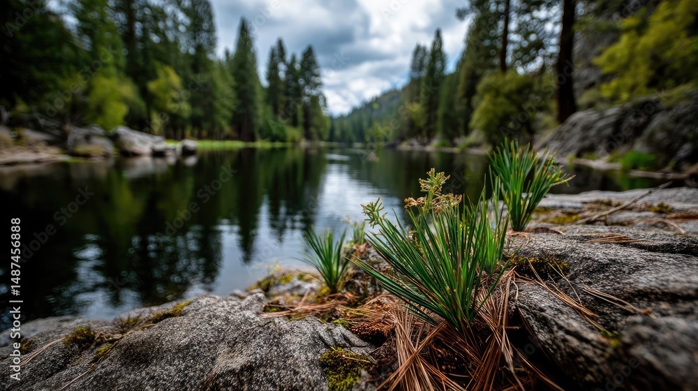 Poster scenic view of lake in pine forest under peaceful nature concept. a serene lakeside view with lush g