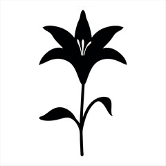 Stylized black and white lily flower with petals, stem and leaves art
