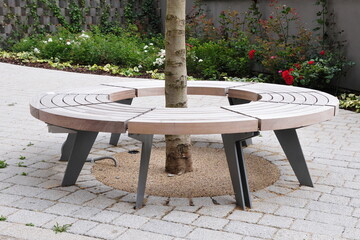 Wooden bench in a garden