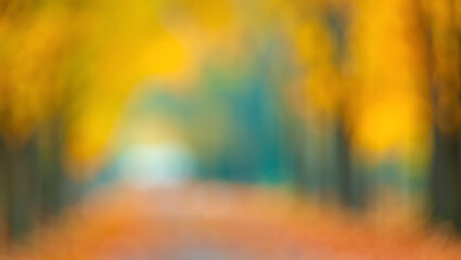 Autumnal Pathway A Blurred Impression of Fall Colors