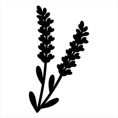 Black and White Lavender Silhouette with Two Stems and Many Blossoms