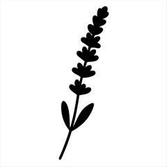 Simple black silhouette of a lavender sprig on a white background