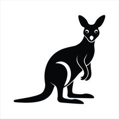 kangaroo vector illustration