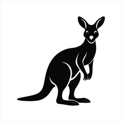 kangaroo vector illustration