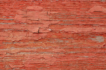 Old red peeling paint on a board as a background in the sun, red