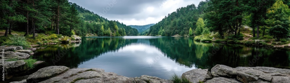 Aufkleber scenic view of lake in pine forest under peaceful nature concept. serene lake surrounded by lush gre