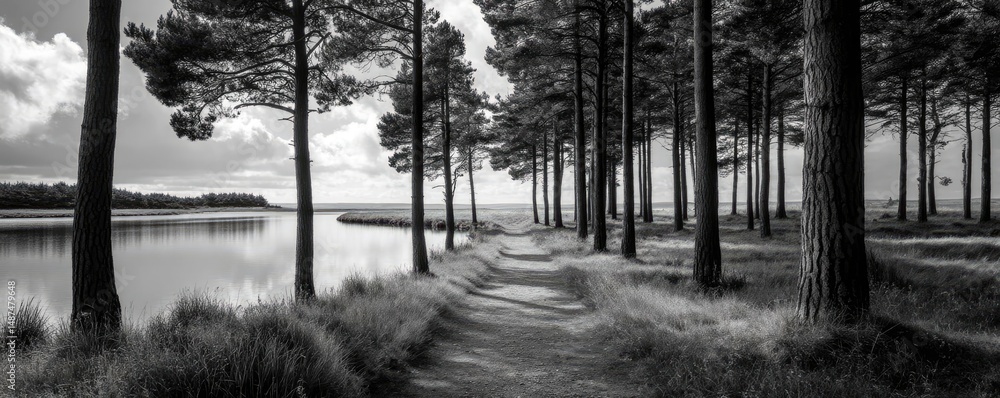 Aufkleber scenic view of lake in pine forest under peaceful nature concept. a serene black and white view of a