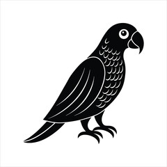vector illustration of a parrot