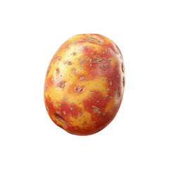 Fototapeta premium Single Red and Yellow Potato Isolated on white background
