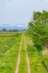 Obraz premium 春の田舎の景色 海の見える一本道の農道とフェリー 日本、青森