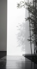 Fototapeta premium Bamboo Plant with Sunlight Shadows on Modern Wall and Floor