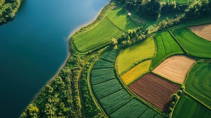 Aerial View of Serene River and Lush Green Farmland