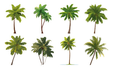 Obraz premium Set of Coconut palm tree Flat Vector Illustration on Transparent Background