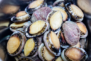 close-up of fresh small abalones