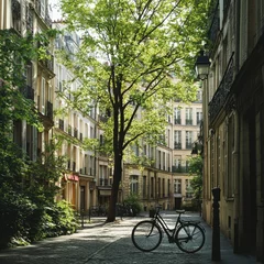 Poster encadré Paris Sunlit Parisian Alleyway with Bicycle and Lush Greenery  © Yothin