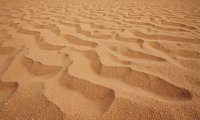 Detailed patterns of rippled sand, showcasing a warm, golden hue and natural textures.