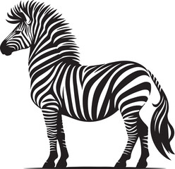 a zebra vector