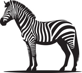 a zebra vector