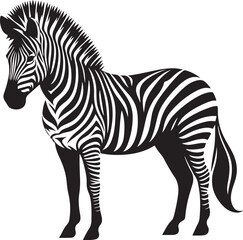 a zebra vector
