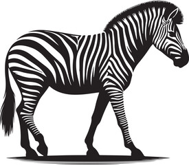 a zebra vector