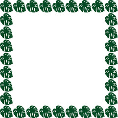 Monstera deliciosa clipart set with tropical patterns, circular and square borders. Great for digital design, prints, and botanical decor, plant.
