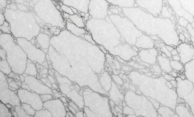 Elegant white marble texture showcasing intricate grey veining patterns.