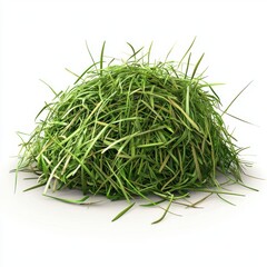 Pet-safe herbal hay mix for small animals, isolated on white