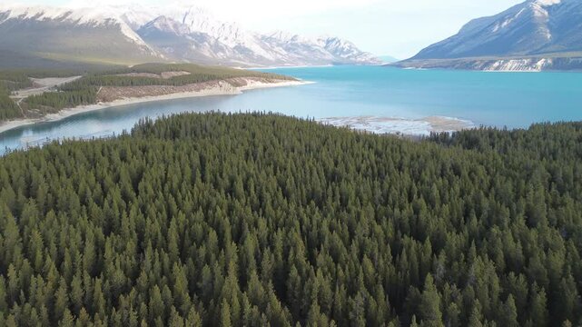 Flight above rugged peaks and coniferous forest in Banff National Park