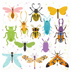 Obraz premium Large set of different insects set vector