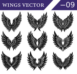 Fototapeta premium Elegant Fantasy Wings Vector Set – Black Gothic Feather Silhouettes of Angel and Demon Wings for Tattoo Art and Dark Theme Designs.