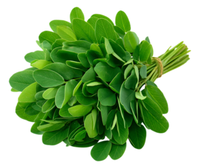 Fresh Green Fenugreek Leaves with Herbal Elegance