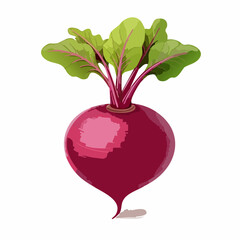 Perfect Vector Illustration of Beetroot — Fresh Organic Vegetable Icon for Food and Healthy Design