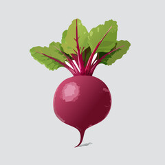 Perfect Vector Illustration of Beetroot — Fresh Organic Vegetable Icon for Food and Healthy Design
