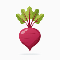 Perfect Vector Illustration of Beetroot — Fresh Organic Vegetable Icon for Food and Healthy Design
