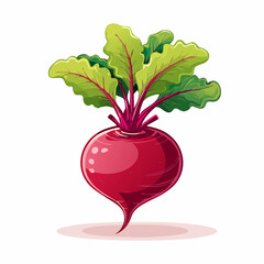 Perfect Vector Illustration of Beetroot — Fresh Organic Vegetable Icon for Food and Healthy Design