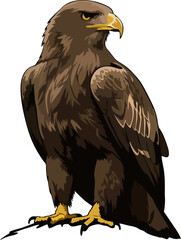Patriotic Eagle Head Line Art Vector for Logo or Badge