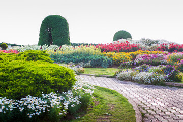 Flower garden at Doi Inthanon, Chiang Mai Province, Thailand
