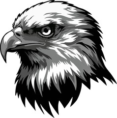  Eagle head with clean feather strokes, minimalist vector design