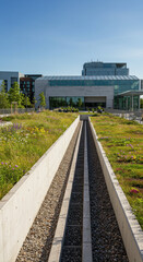 Fototapeta premium Modern Green Roof Drainage: Sustainable Architecture & Urban Landscape Design with Biodiversity & Stormwater Management