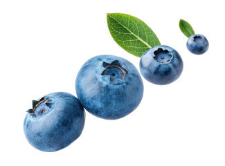Fototapeta premium Three Fresh Blueberries with Green Leaves Isolated on Transparent Background