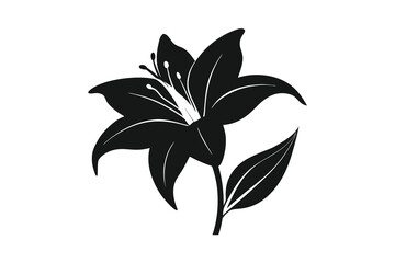 lily silhouette flower isolated on white background