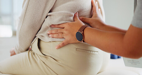 Physiotherapy, back pain and hands of person with patient for support, wellness and consultation....