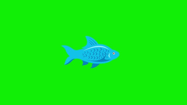 Fish animation swimming moving on green background 4k animation