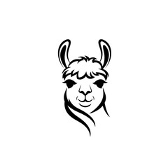 Obraz premium Llama Portrait: A sophisticated and artistic depiction of a llama's face, illustrated with clean lines and a minimalist aesthetic.