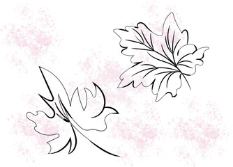 Elegant Line Art Leaves with Pink Watercolor Splashes